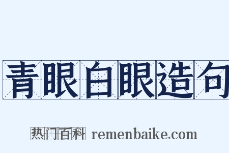 青眼白眼造句是什么意思的图片